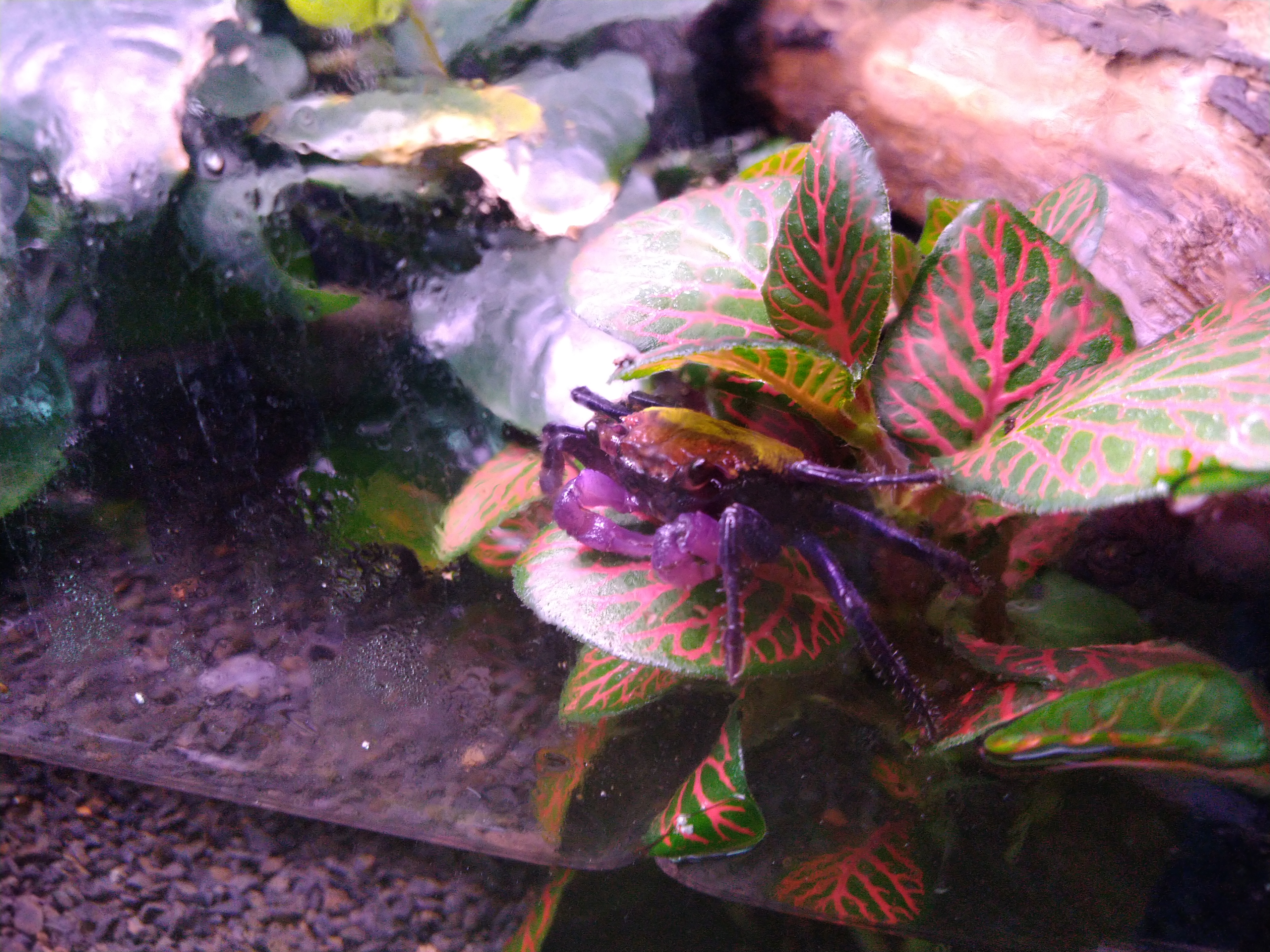 Foto 3