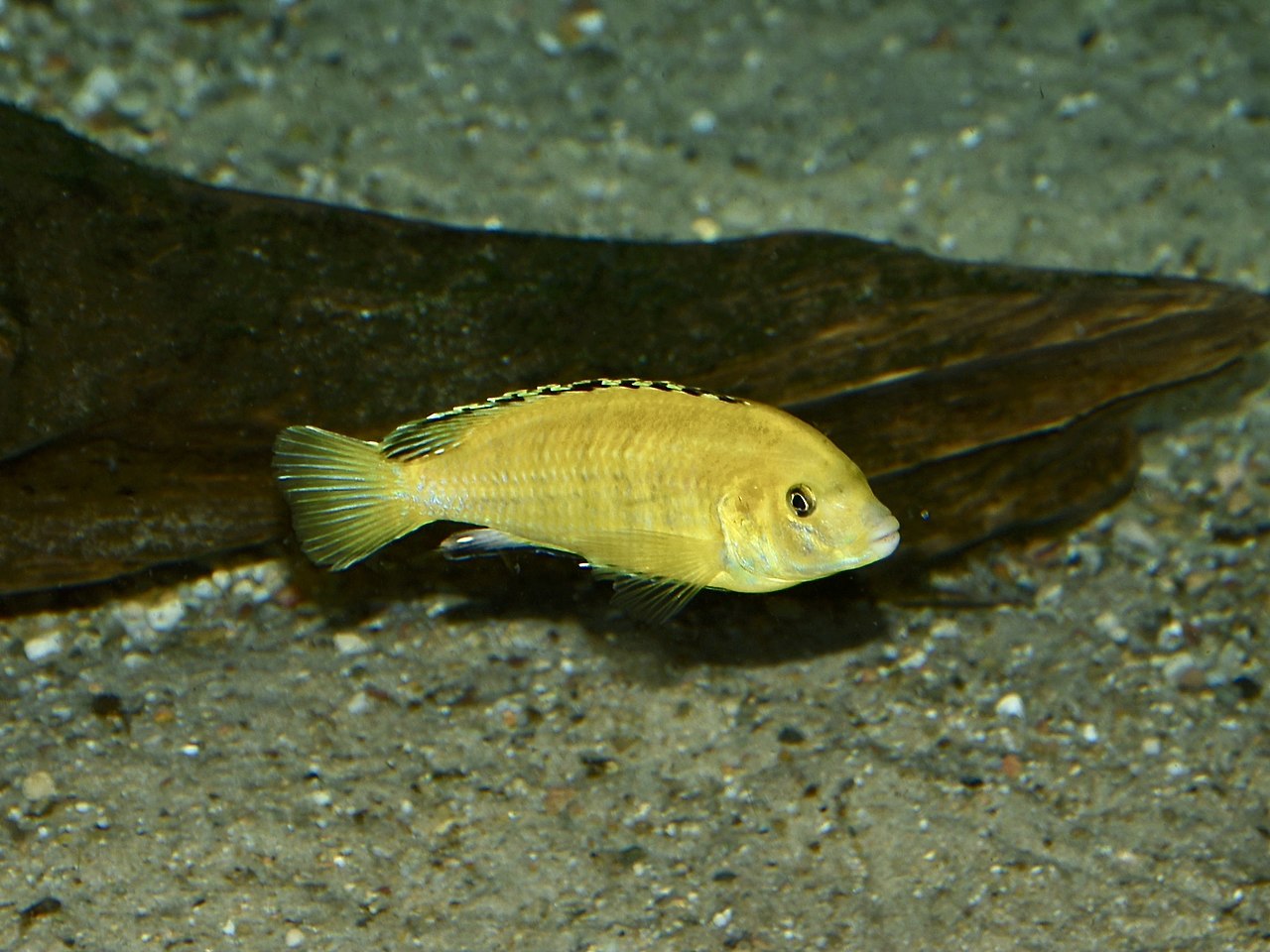 Foto 5