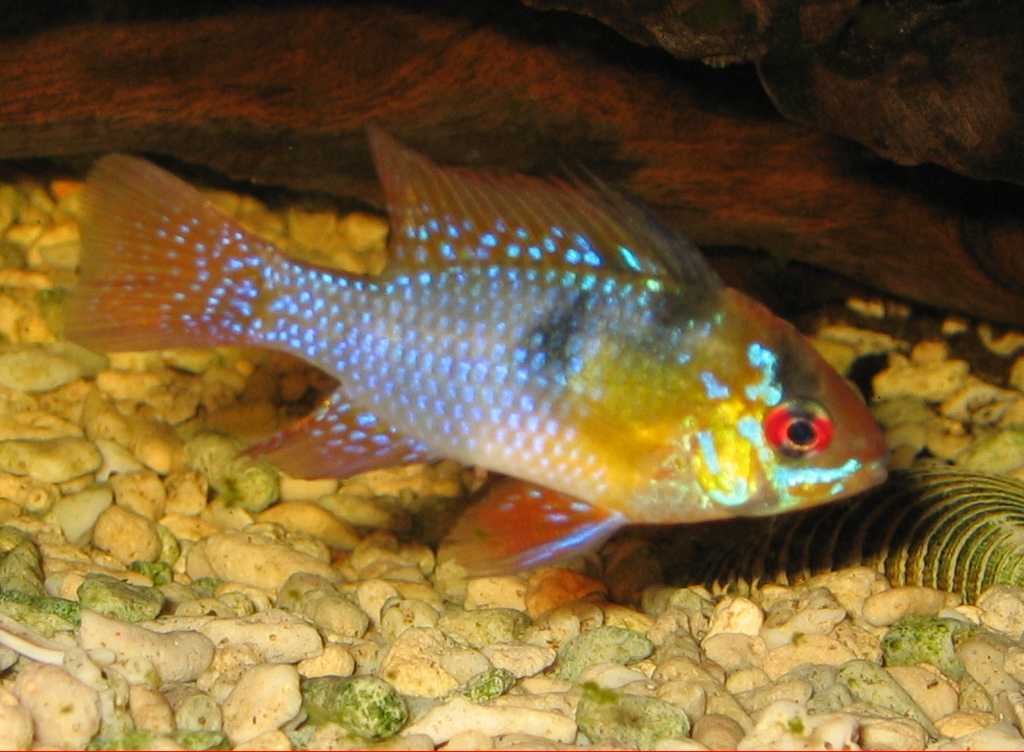Foto 4
