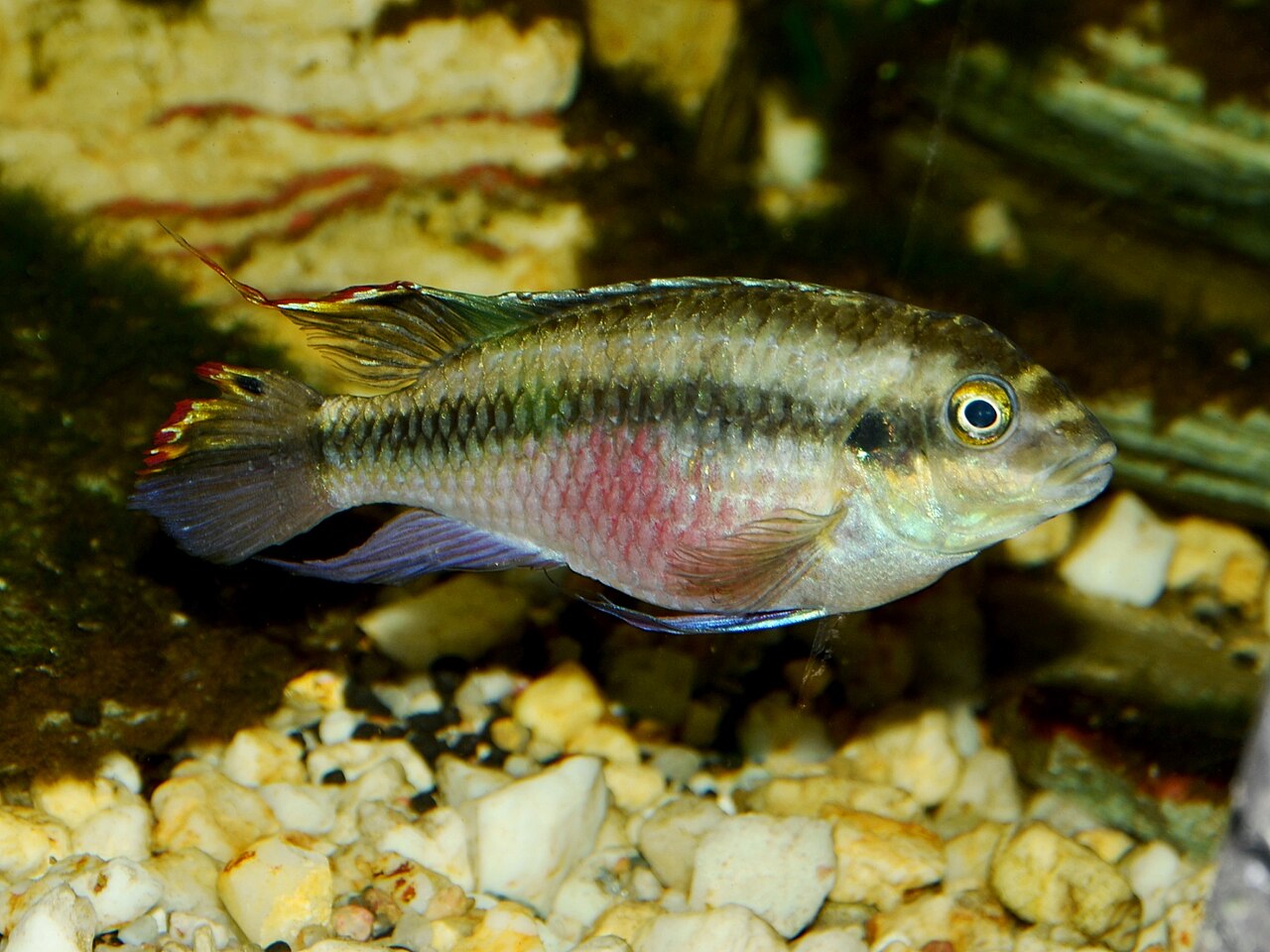 Foto 2