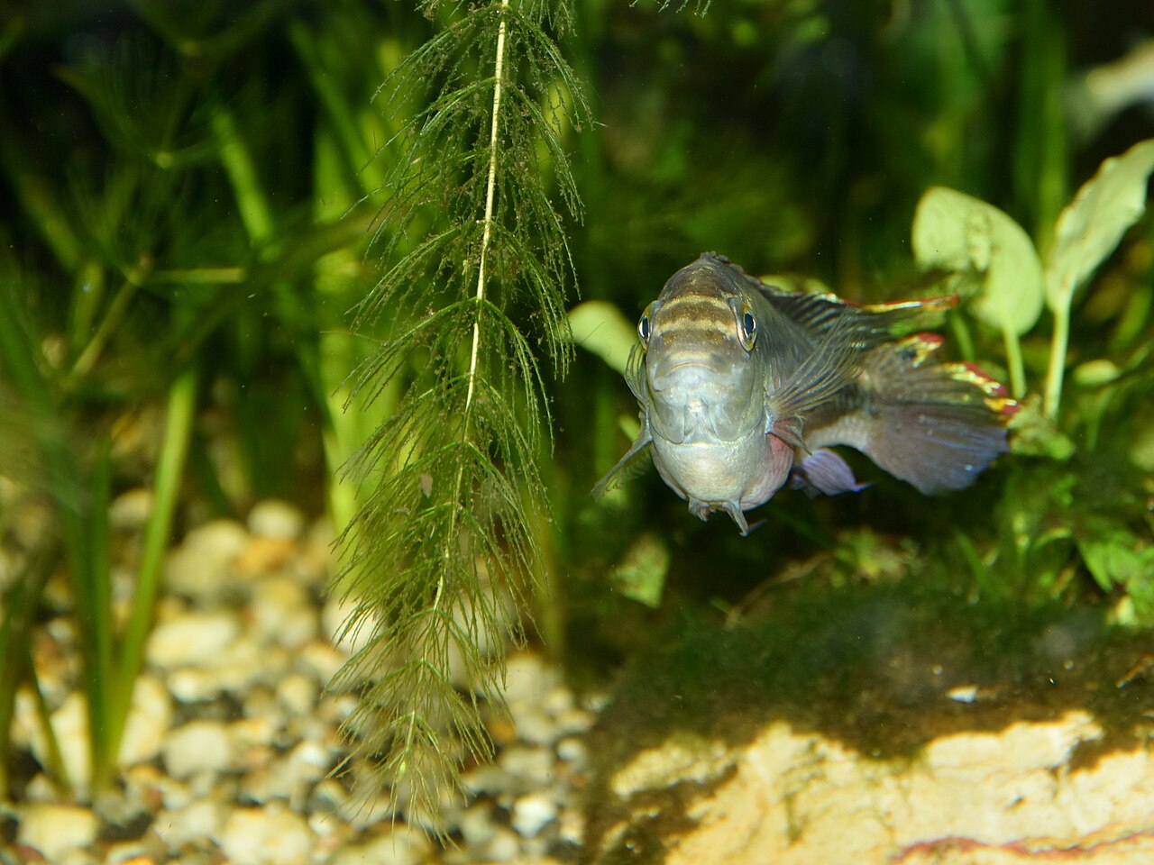 Foto 3