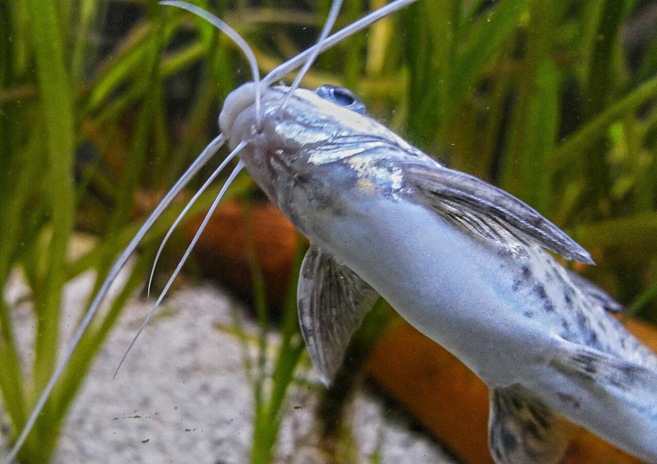 Foto 3