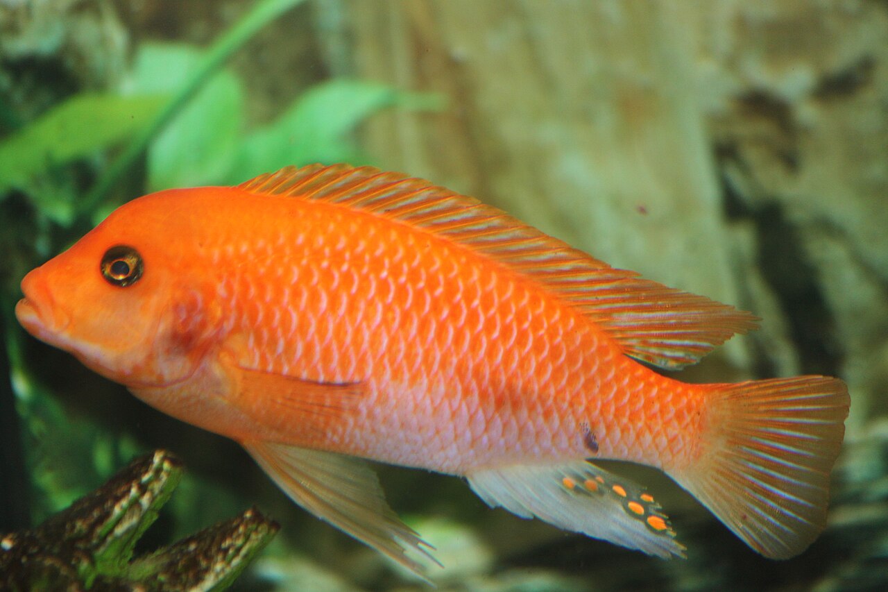 Foto 2