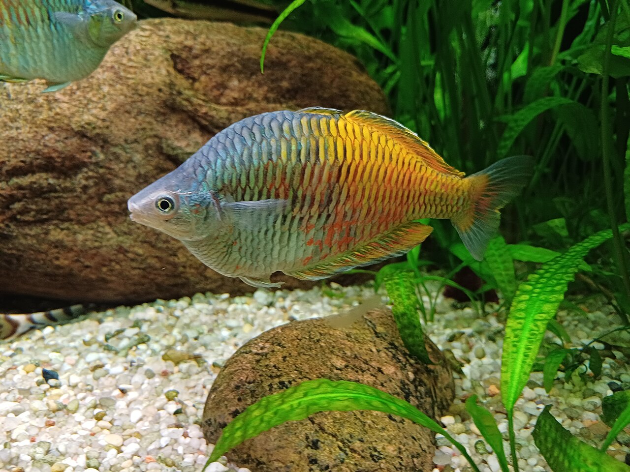 Foto 6