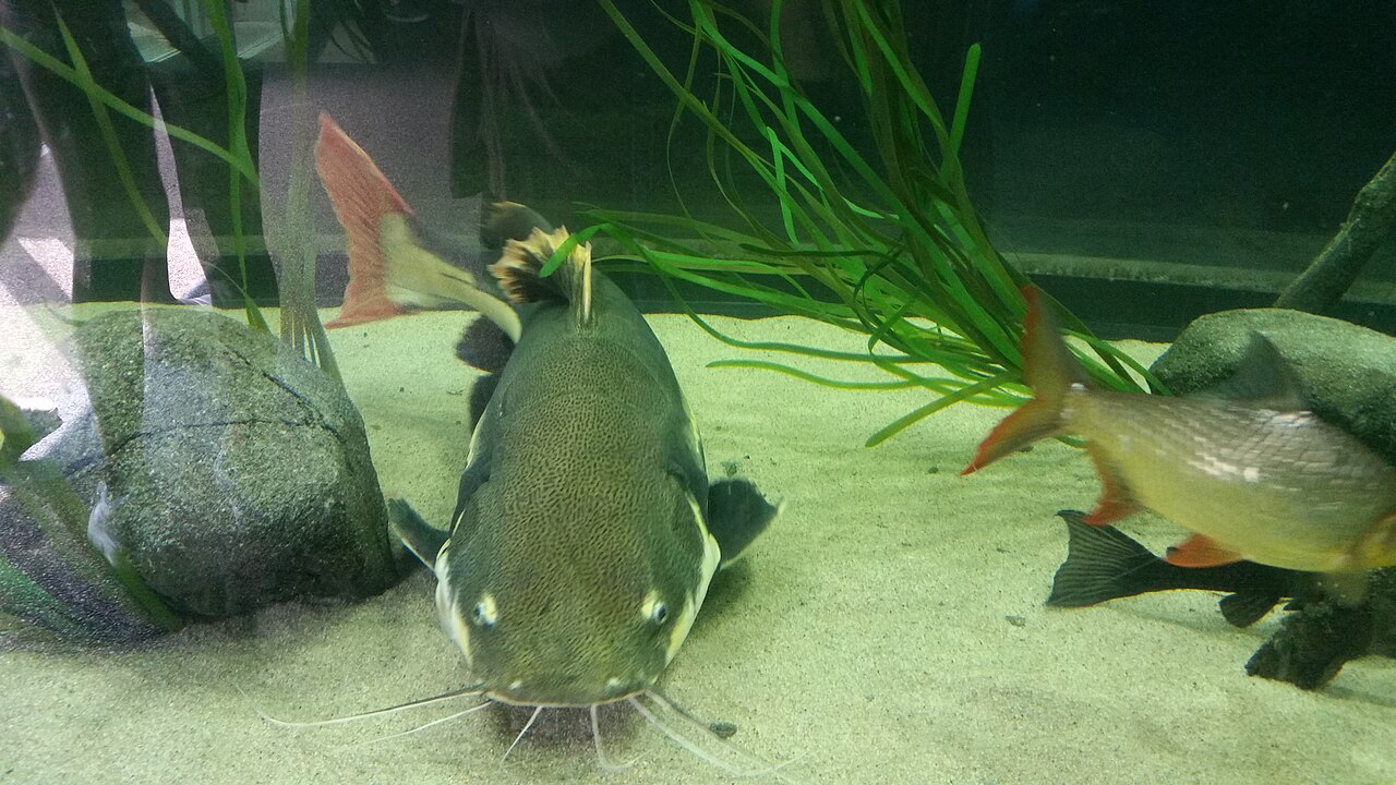 Foto 3