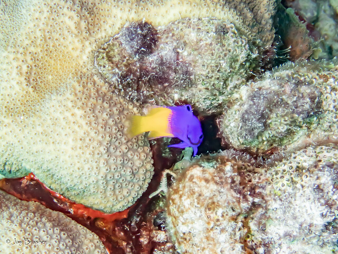 Foto 5