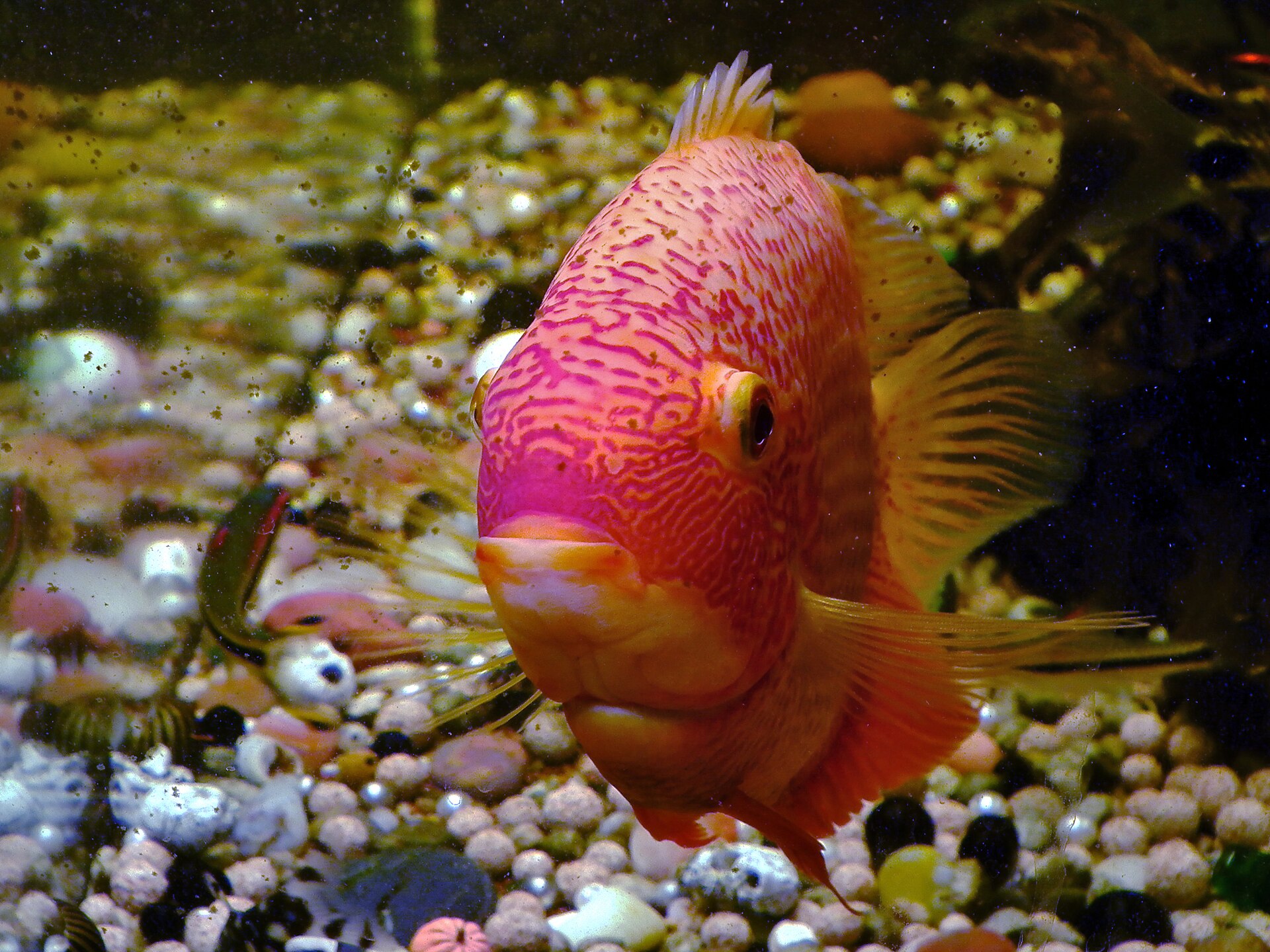 Foto 6