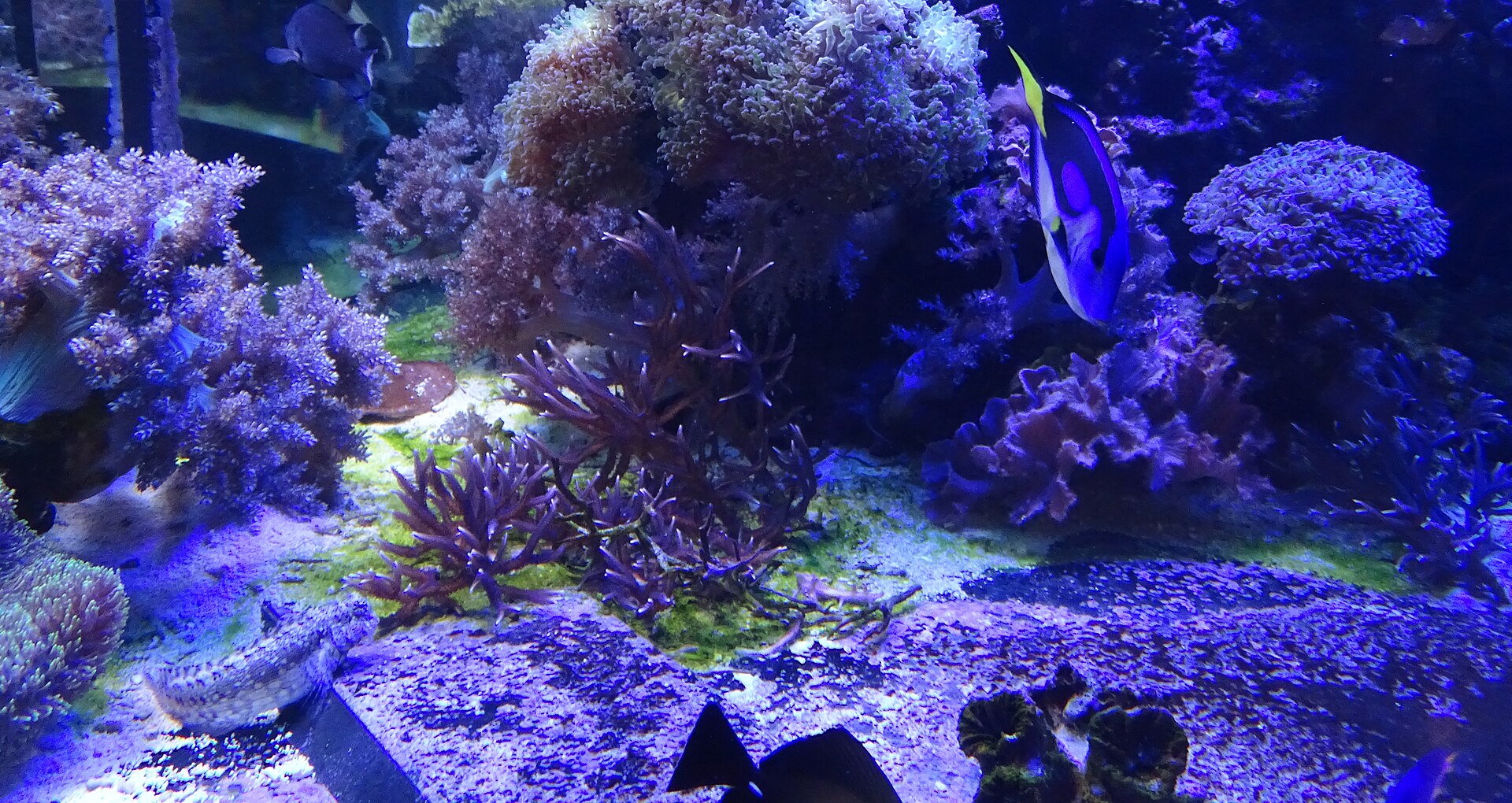 Foto 2