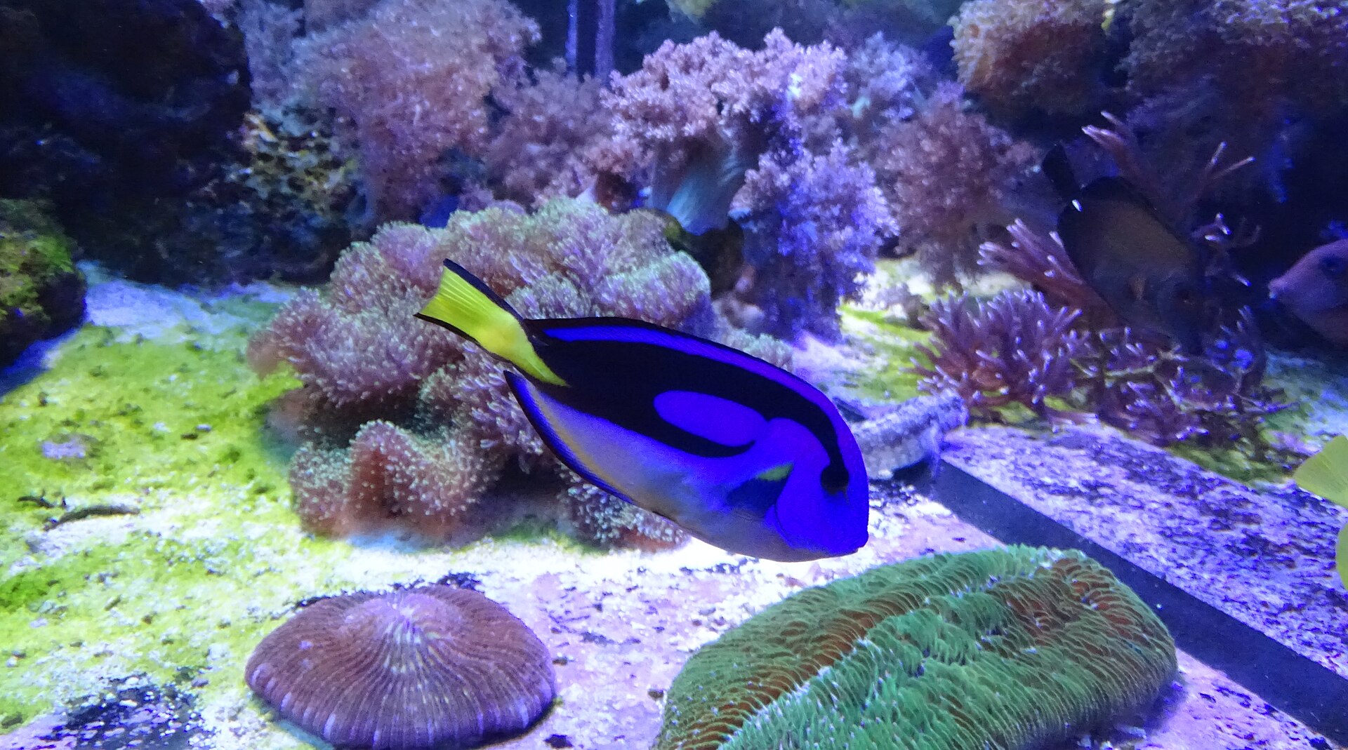 Foto 3
