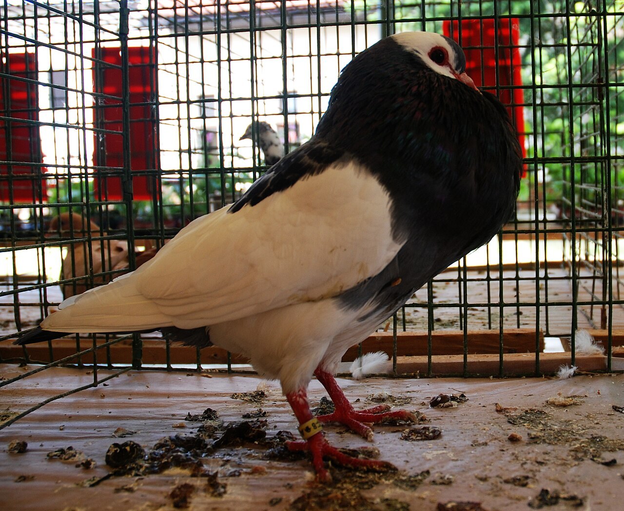 Foto 2
