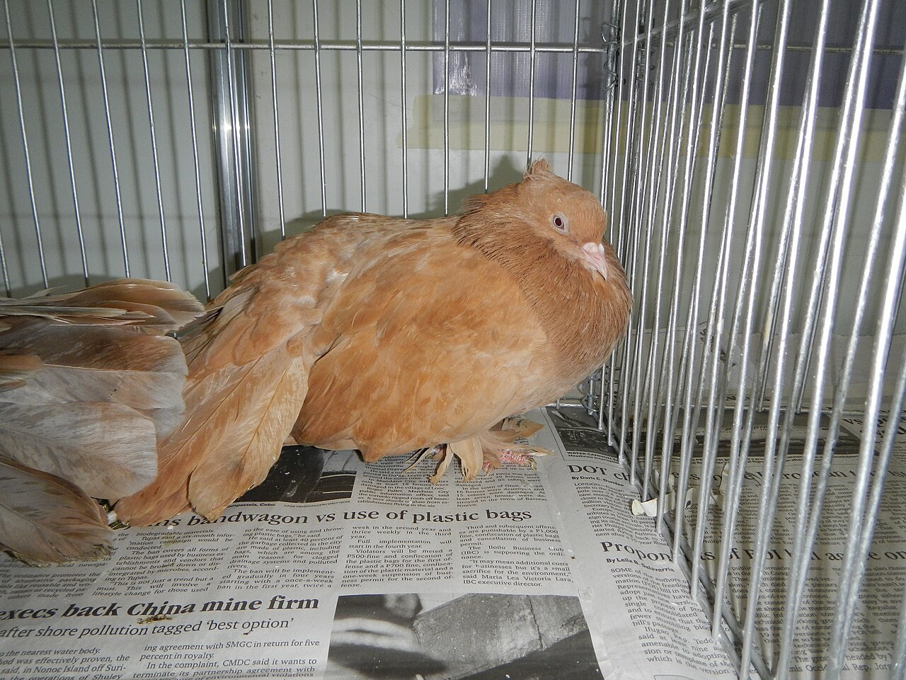 Foto 2