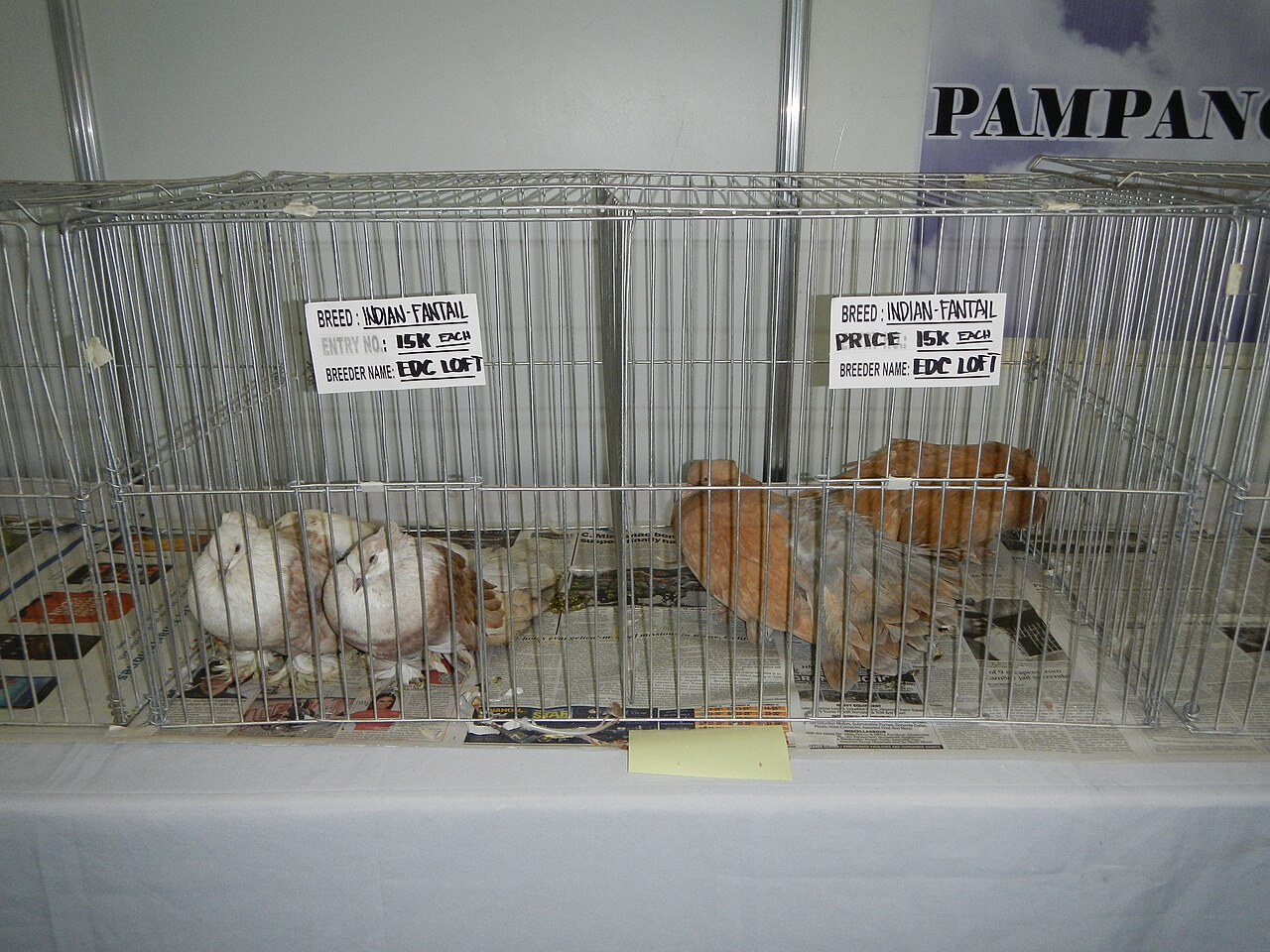 Foto 3