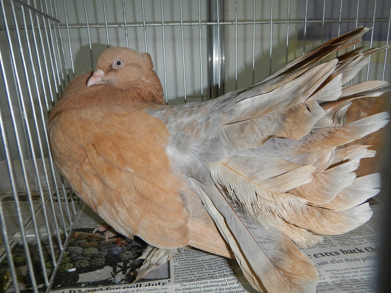 Foto 4