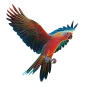LePet.sk logo
