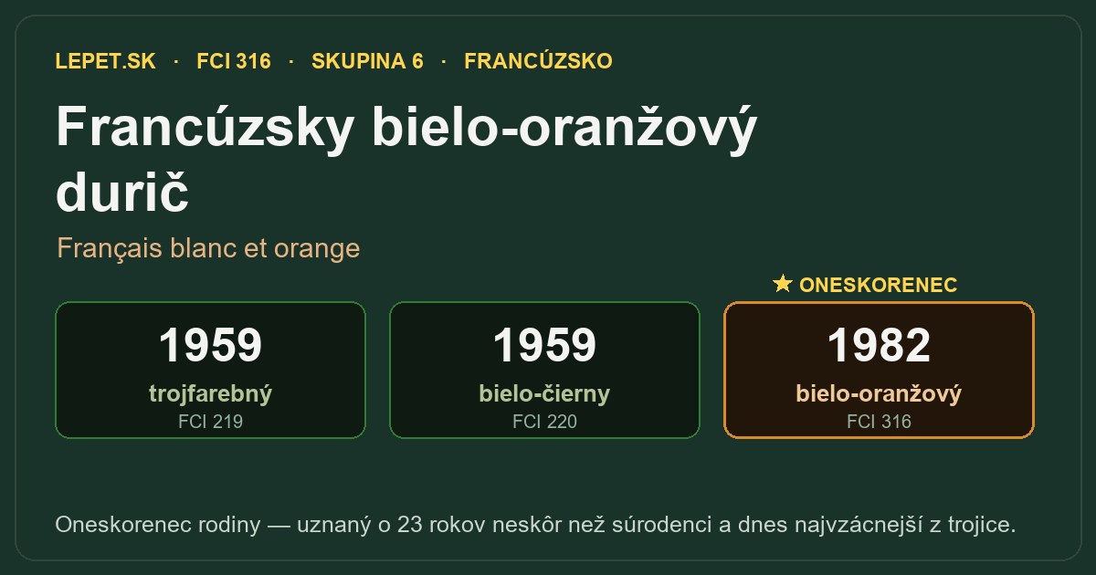 Francúzsky bielo-oranžový durič
