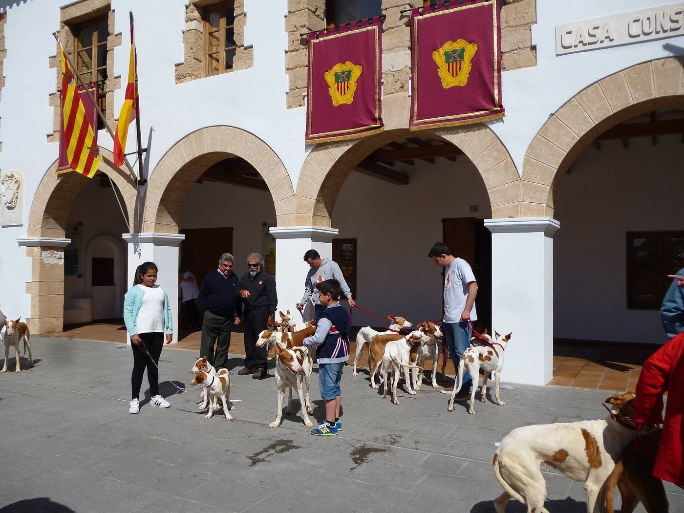 Svorka ibizských podenkov (Ca Eivissenc) na Ibize pred vápennobielou radnicou s baleárskou a španielskou vlajkou