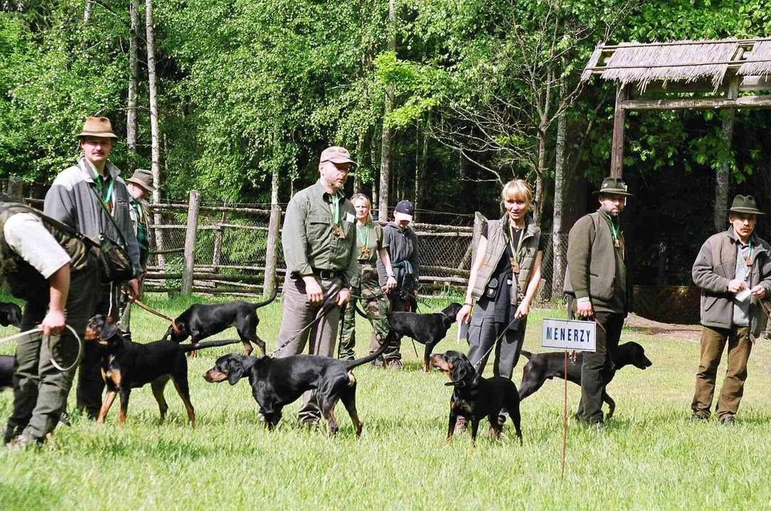 Skupina poľských poľovných duričov s vodičmi na poľskom konkurze dzikarzy a tropowców