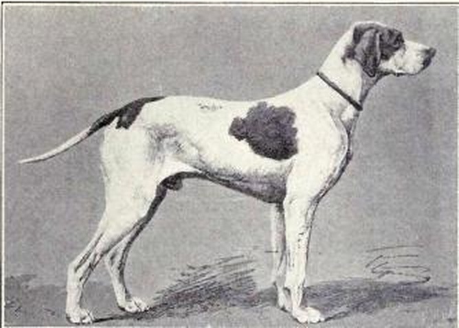 Dobová reprodukcia saint-germainského ohára z roku 1915