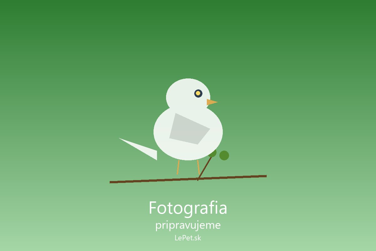 Stehlík obyčajný