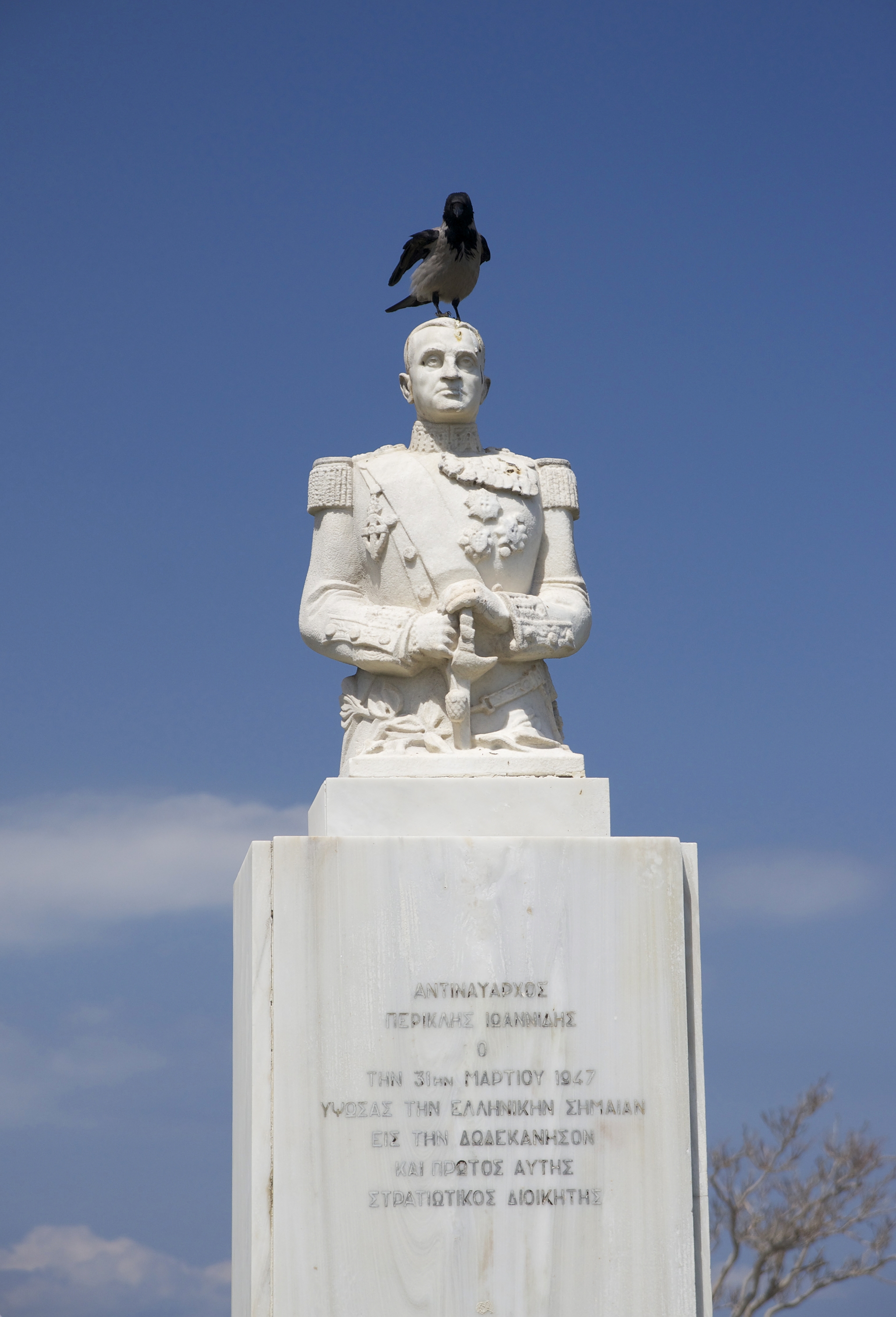 Vrana popolavá na Rodose (Grécko) — južný okraj európskeho areálu, na Rodose hraničí s areálom poddruhu C. c. pallescens Madarász 1904 (Cyprus/Levant/Egypt — najmenší a najsvetlejší poddruh). Foto Jebulon (CC0 — public domain).